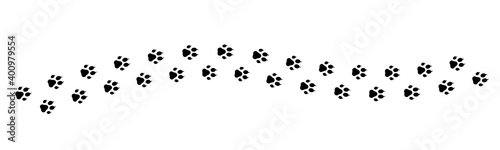 Paw vector foot trail print. Vector
