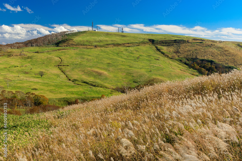 Obraz premium 秋のきじひき高原