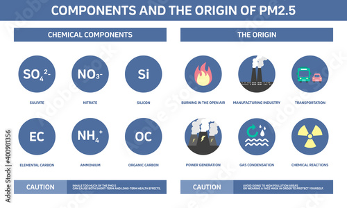 Components and the origin of pm2.5 infographics, pollution, environment. Flat design.