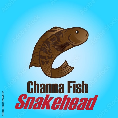 illustration Channa Fish for child's lesson or addition to coloring books