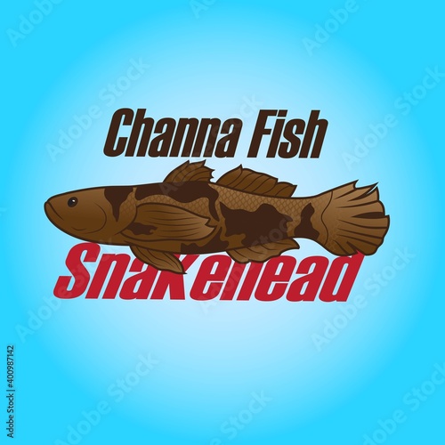 illustration Channa Fish for child's lesson or addition to coloring books