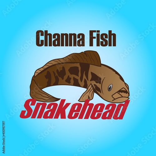 illustration Channa Fish for child's lesson or addition to coloring books