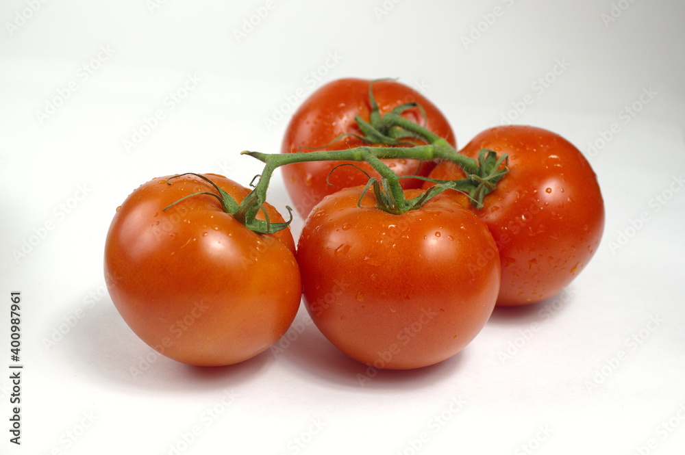 ripe and juicy tomatoes on a branch with water droplets
ripe and juicy tomatoes on a branch with water droplets
