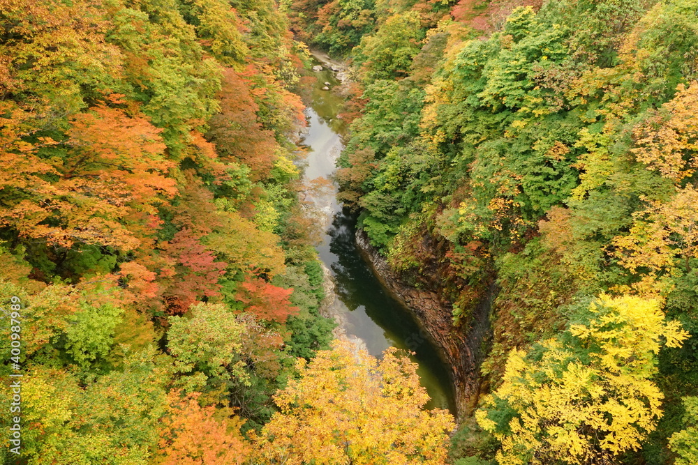 Beautiful red and yellow maple leaf at Oyasukyo gorge in Japan, aerial view - 紅葉したもみじ 小安峡 温泉 秋田県湯沢市	
