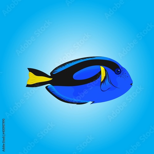 Illustration Colorful fish tanks for child's lesson or addition to coloring books