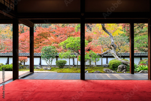 正暦寺 (2012/11/20撮影)