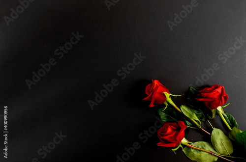 Red roses on a black background, postcard, banner, Flat Lai on the funeral photo