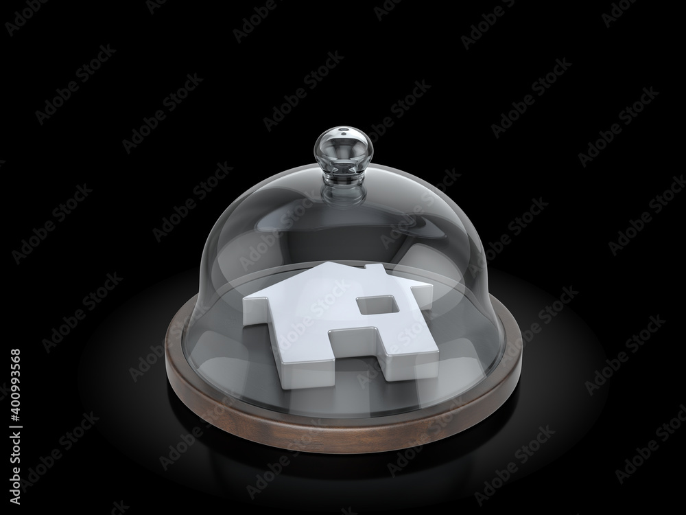 Obraz premium House symbol under the dome