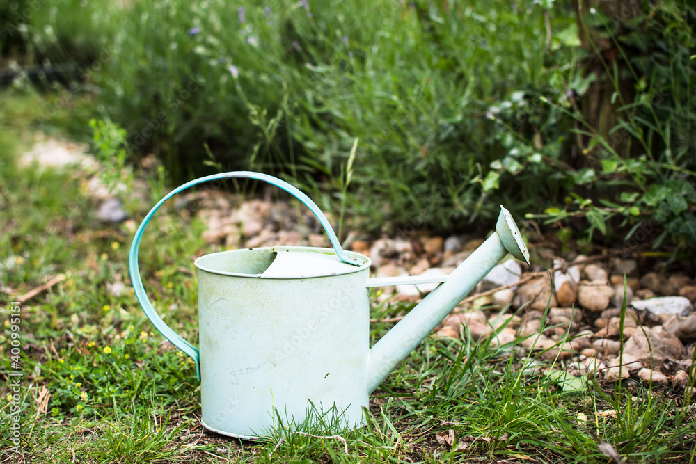 Old tin watering can in the garden