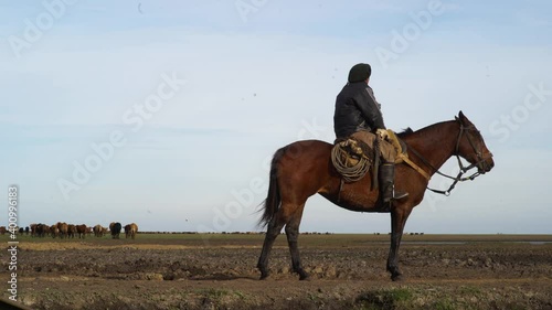 Man on horseback looking at cattle on the horizon.