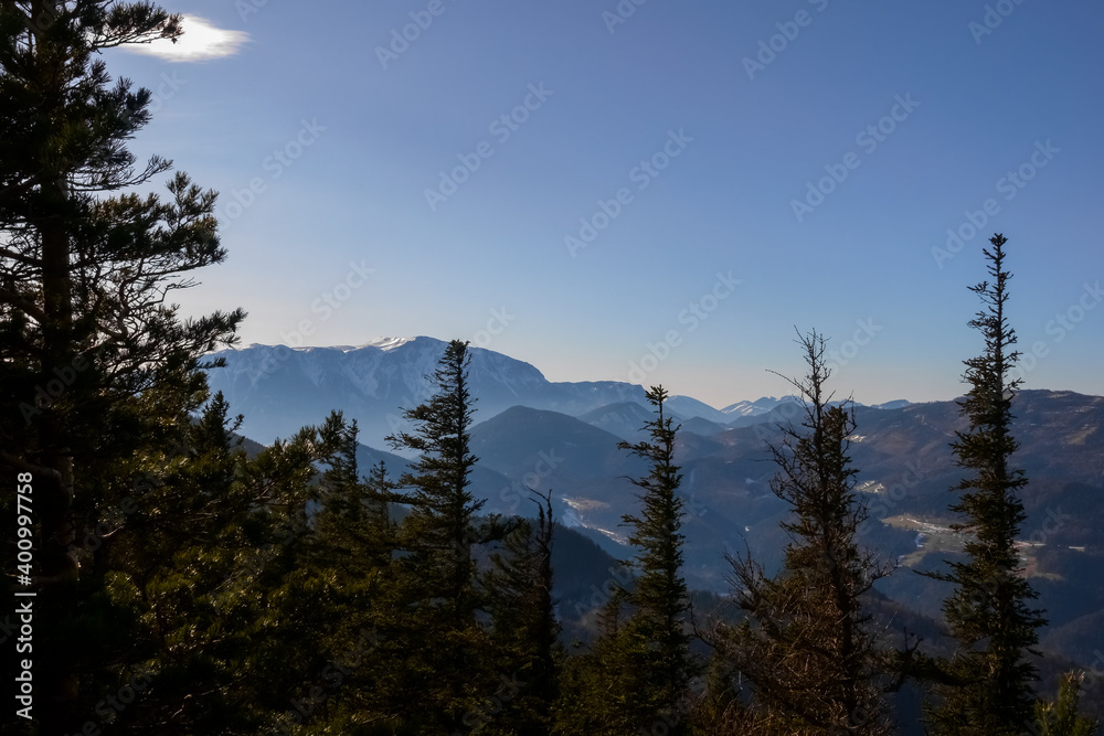small pinetrees in a beautiful landscape with many mountains and blue sky