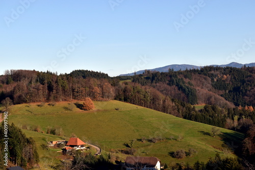 Der Schwarzwald im Winter in Freiamt bei Freiburg