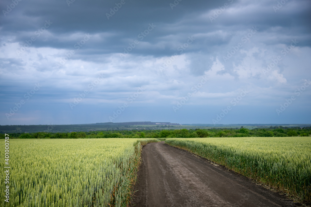 Wheat fields with a long road and beautiful sunset sky with thunderstorm clouds. Wheat fields with a long road and beautiful sunset sky with thunderstorm clouds.