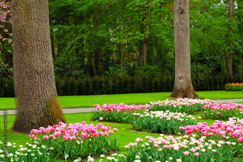 Fototapeta Naklejka Na Ścianę i Meble -  fresh lawn with flowers