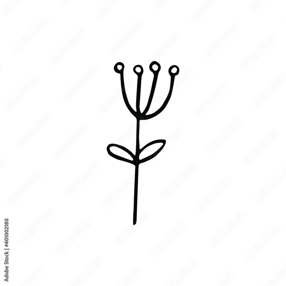Single hand drawn flower. Doodle isolated on white background. Vector illustration.