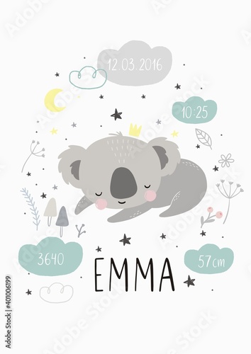 Photography Cute cartoon character koala
