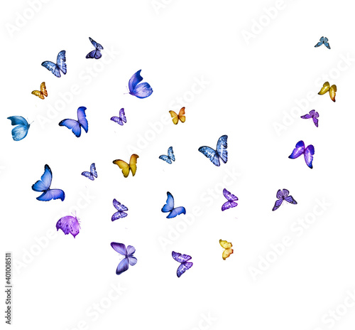 Flock of flying butterflies isolated on white