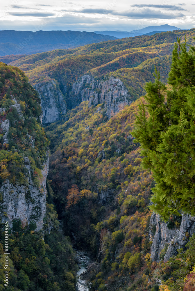 vikos gorge on Tymfi mountain  with fall colors near tsepelovo  in Zagori Epirus, Greece.