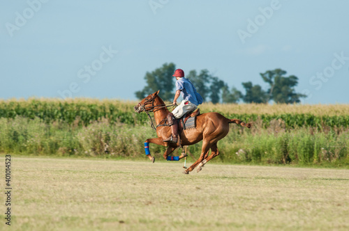 Jogo de polo em fazenda no pampa argentino.