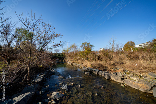 Cuadro en lienzo Little Sugar Creek NC USA