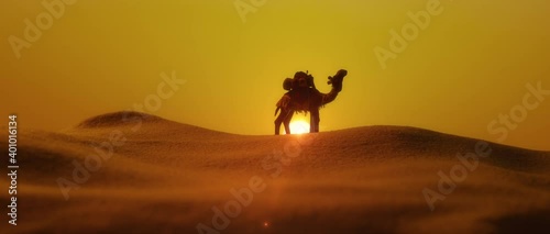 Iconic Lone Camel in the desert sunset silhouette