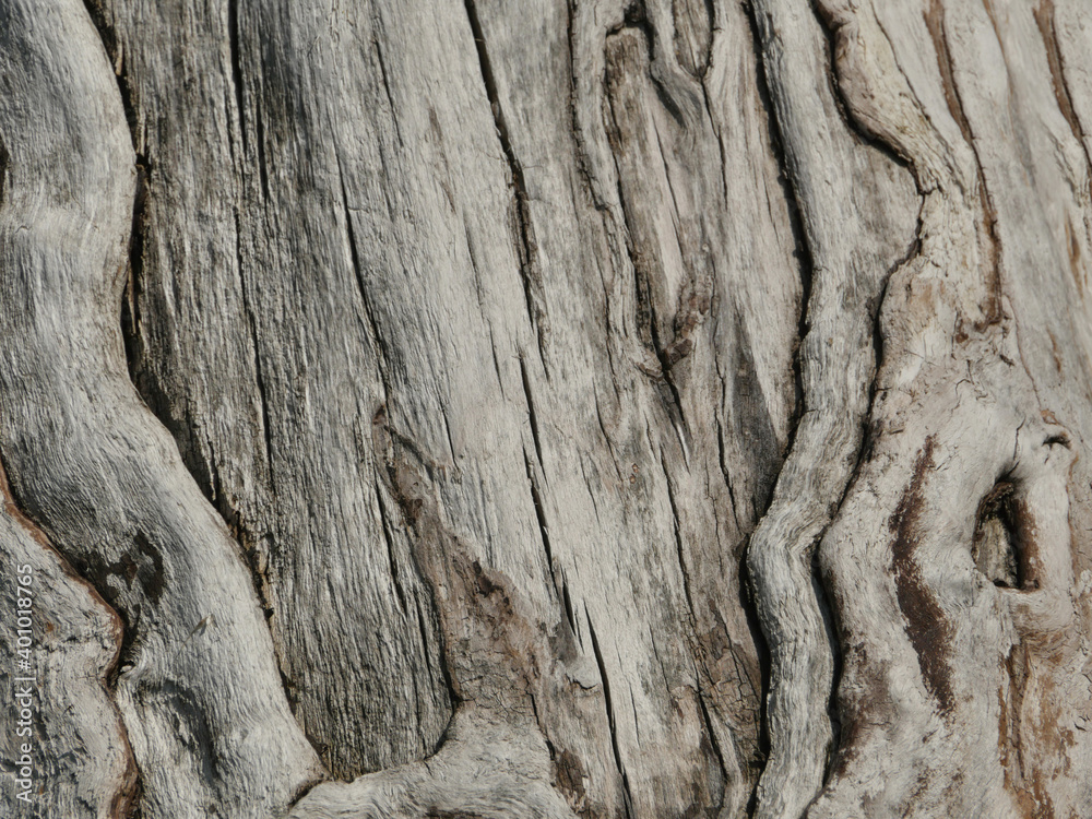 wood dry cracked surface, abstract background wood dry cracked surface, abstract background