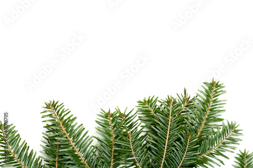 Nature winter background with snowy close-up of fir branches. Spruce branches  on a white background  top view. Winter christmas border with copy space