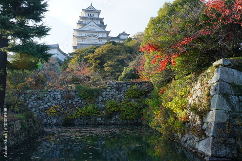 Himeji Castle  Himejijo  in Autumn  Hyogo prefecture  Japan -                                                   