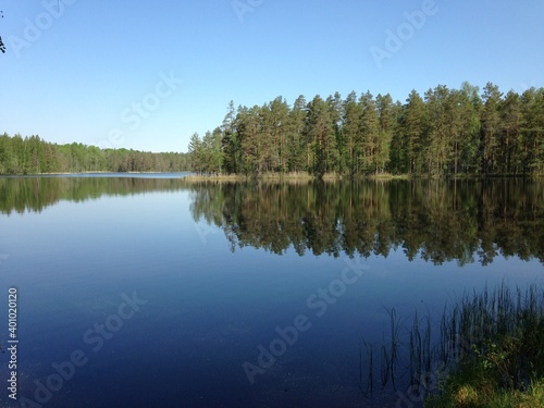 forest lake, water and sky natural view and sand pond
