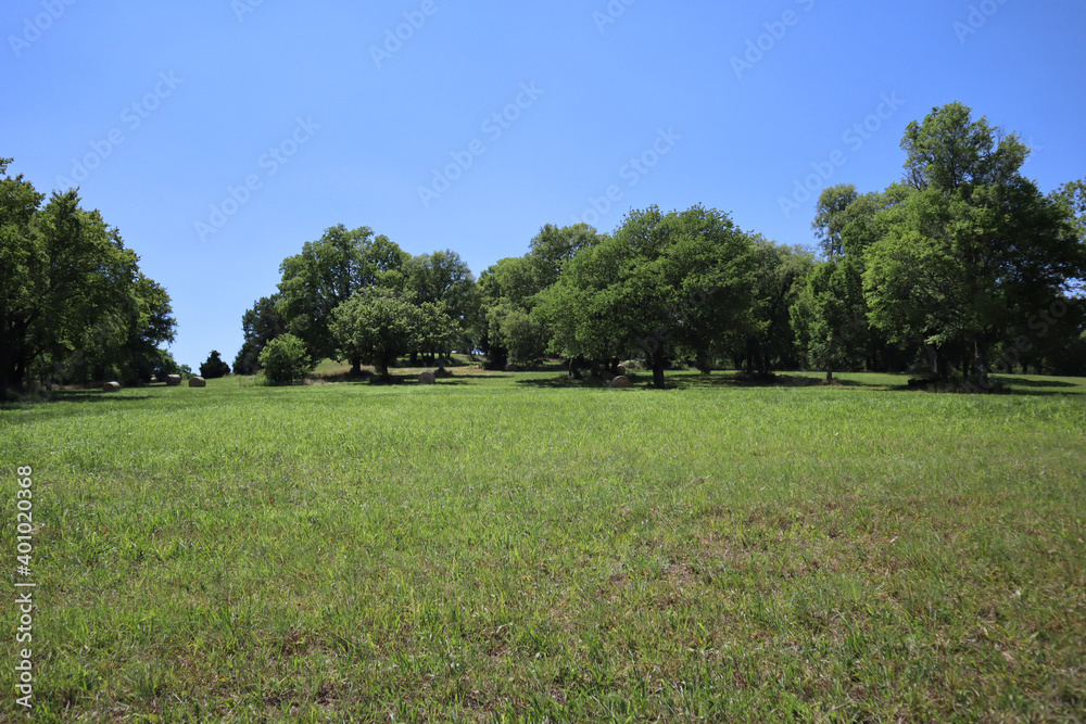 Obraz premium IMG_0163_1.JPG