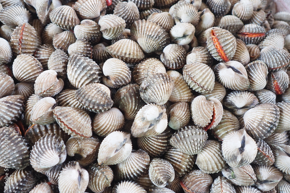 Top view of fresh raw cockles in the market for seafood cooking