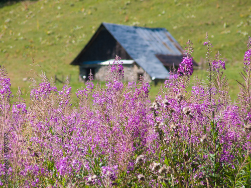 les pres plans,saint sorlin,haute savoie,france photo