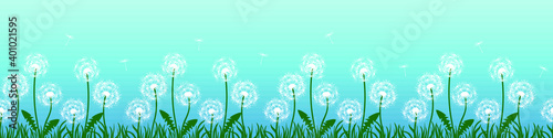 Banner with flowers  dandelions. Silhouette of white dandelions on blue background. Floral print pattern  textile pattern. Seamless vector illustration. White flowers with white grass  flying seeds.