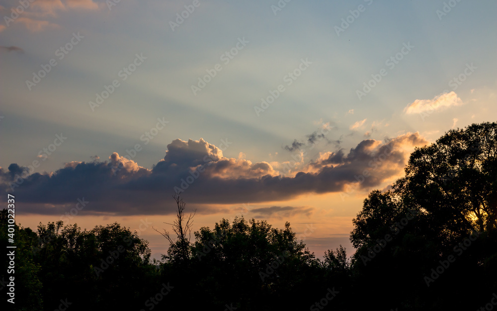 The rays of the setting sun in the blue sky with clouds on the background of trees
