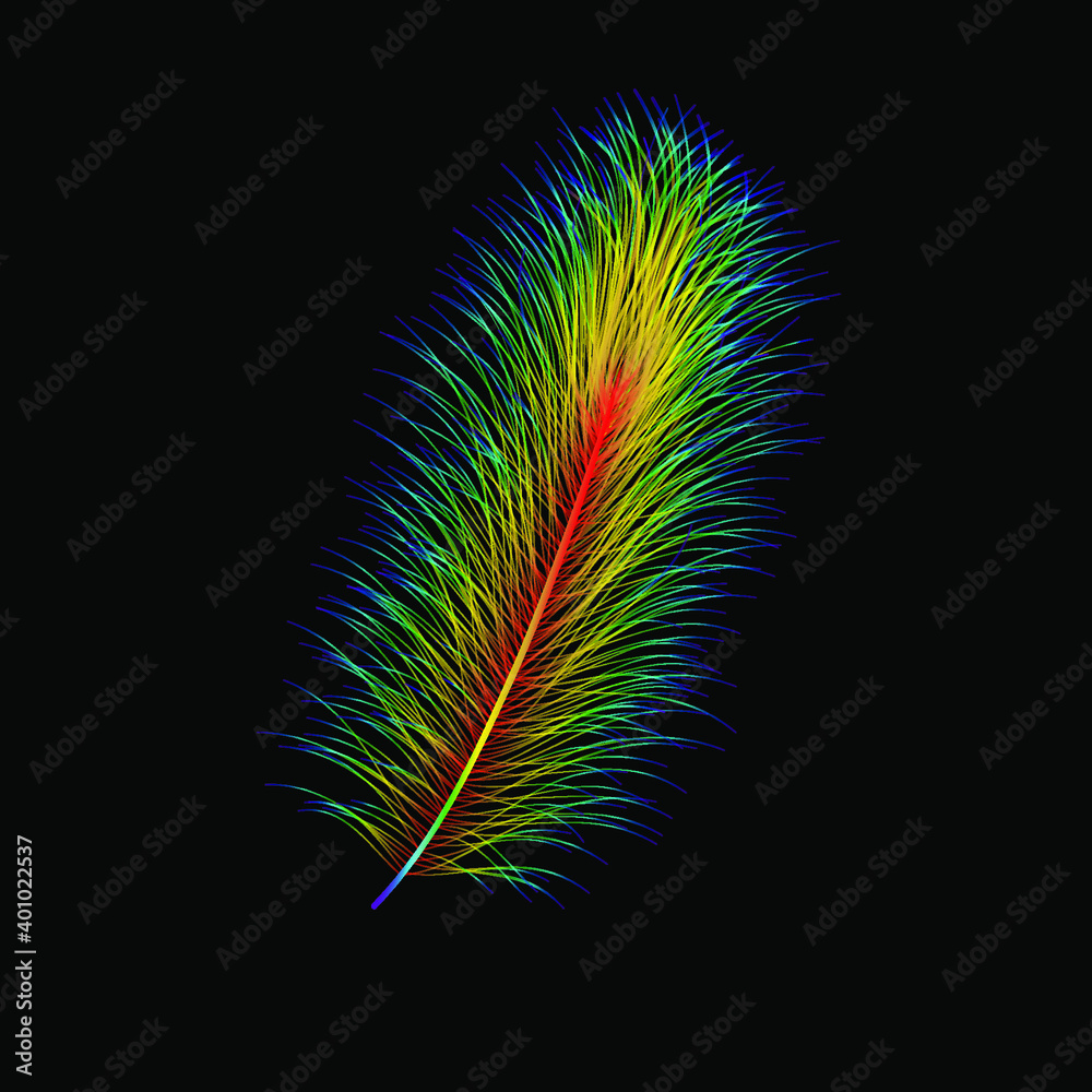 Colorful feather. Vector illustration. Rainbow background. Rainbow
