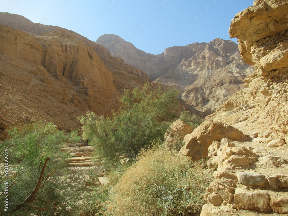 Fototapeta premium Stunning scenery in Nachal (Wadi) Arugot, Ein Gedi, Israel