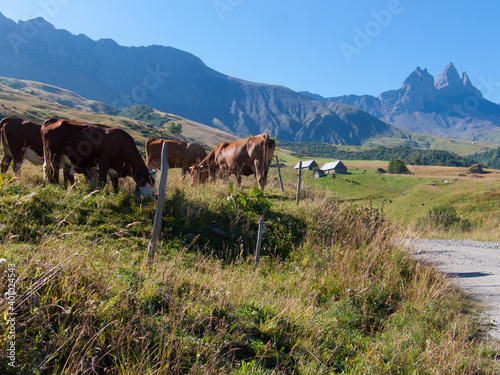 aiguilles d'arves,haute savoie,france photo