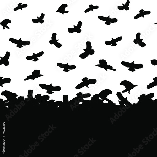 Black birds on a white background. Black silhouette. Seamless pattern. Vector illustration for fabric design  print for textile  scrapbooking  creative design or logo.