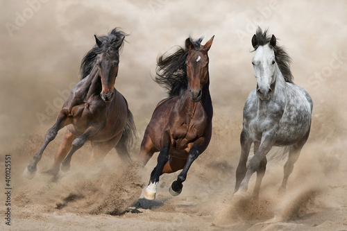 Horse herd  galloping on sandy dust against sky photo