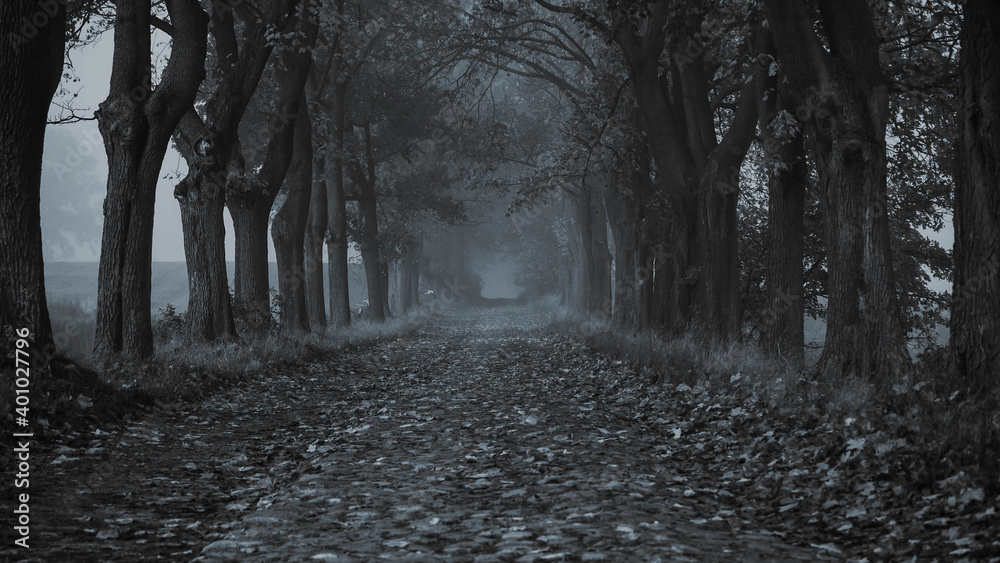 Obraz premium Löwenberger Land