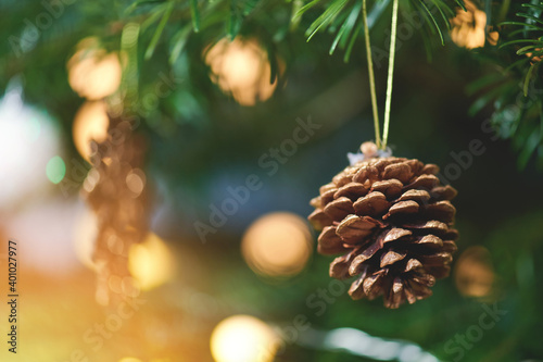 Close up of Christmas pine cone