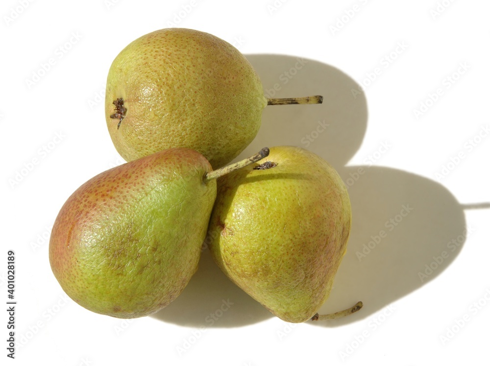 Three little forelle pears in the sunshine Three little forelle pears in the sunshine