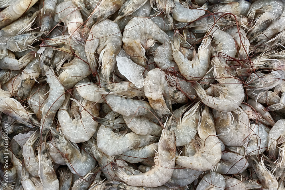 Close up fresh shrimps from top view ready for sale at the supermarket. Fresh small prawns in a market place for sales.