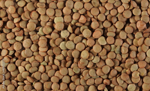 Green lentils pile background and texture
