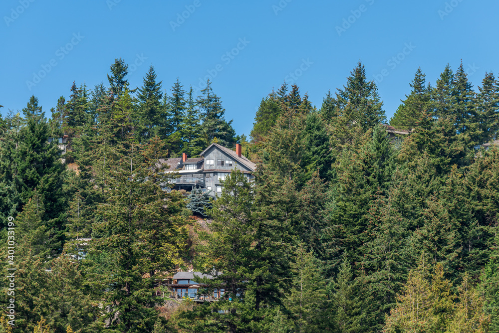 Houses in suburb at Summer in the north America. Luxury houses with nice landscape. Houses in suburb at Summer in the north America. Luxury houses with nice landscape.