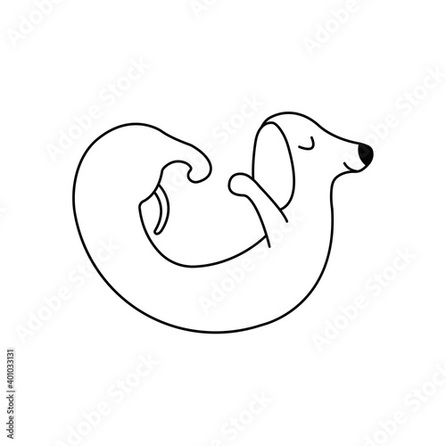 Dachshund practices yoga back bending. Yoga dog, relaxation and sports. Vector isolated doodle illustration. Hand drawn animal black and white puppy icon