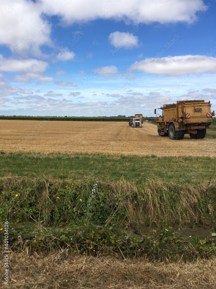Fototapeta premium travaux agricoles