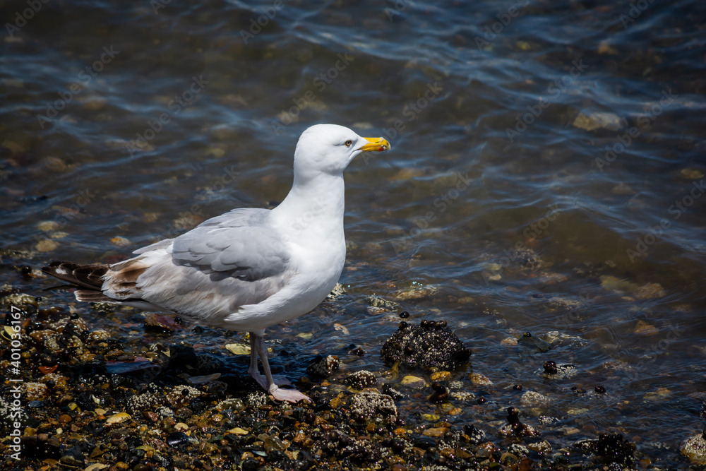 On the Hunt for Clams On the Hunt for Clams
