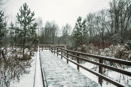 Wooden footpath in the winter park. Beautiful snowy nature. The pines grow from the snow © Kooper