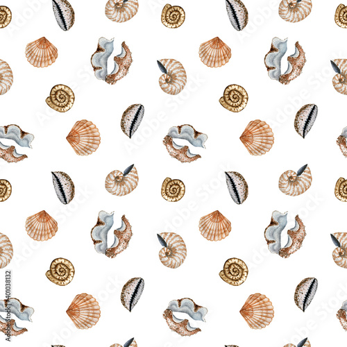 Watercolor seashells seamless pattern. Tiled Seashells texture on white background. Summer background